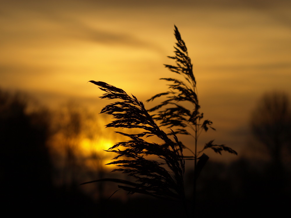 Sonnenseiten des Winters