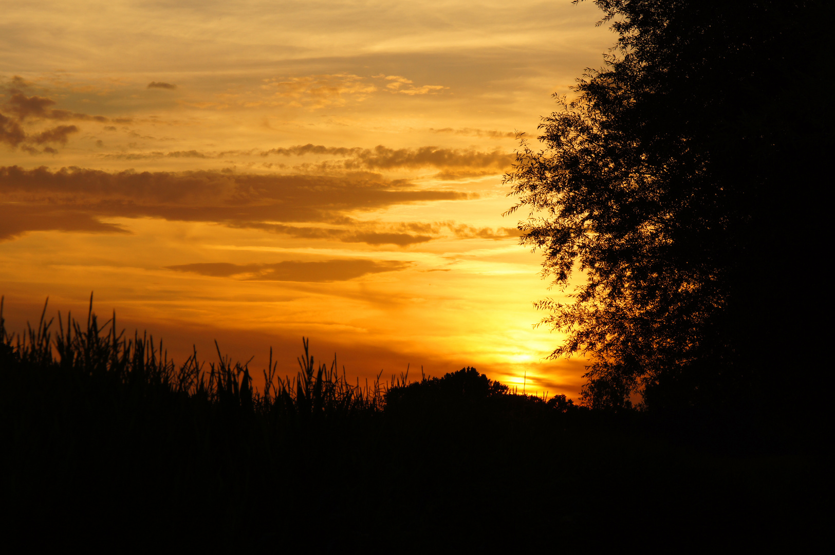 Sonnenspektakel.