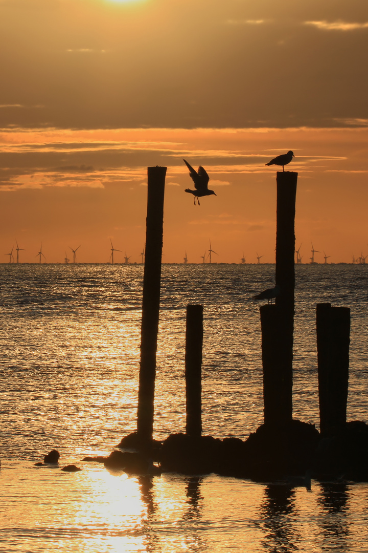 Sonnenspiegel auf der Nordsee