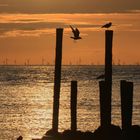 Sonnenspiegel auf der Nordsee