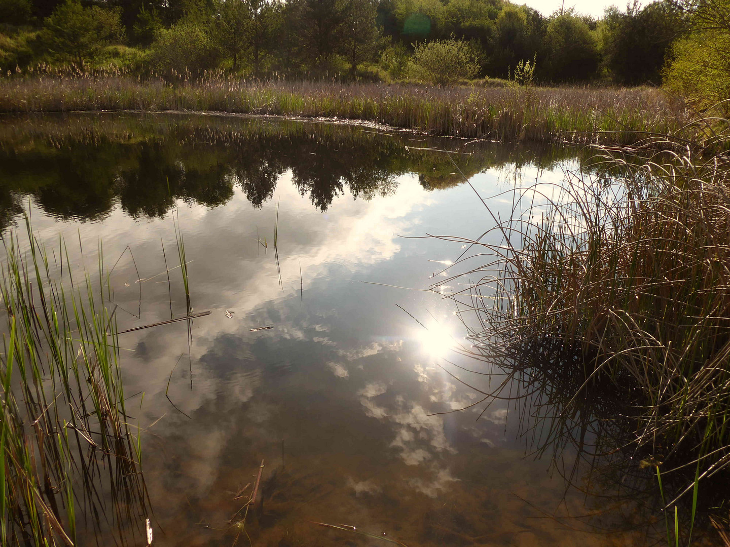 Sonnenspiegelung