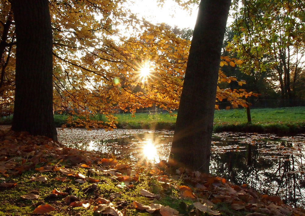 Sonnenspiegelung