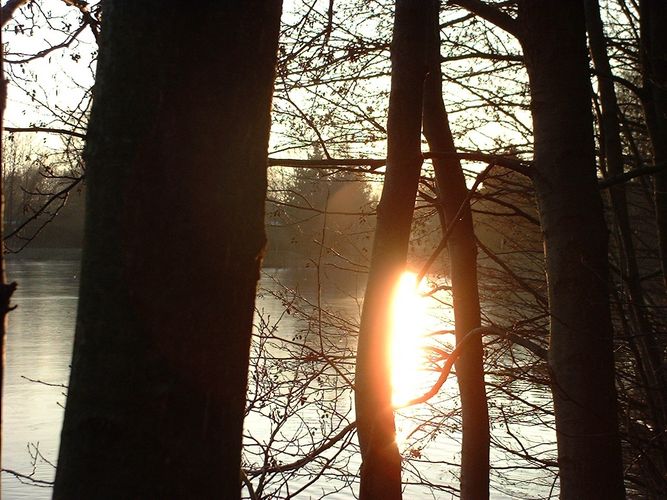 Sonnenspiegelung am Drilandsee, aufgenommen im Februar 04