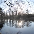 Sonnenspiegelung im Dorfteich