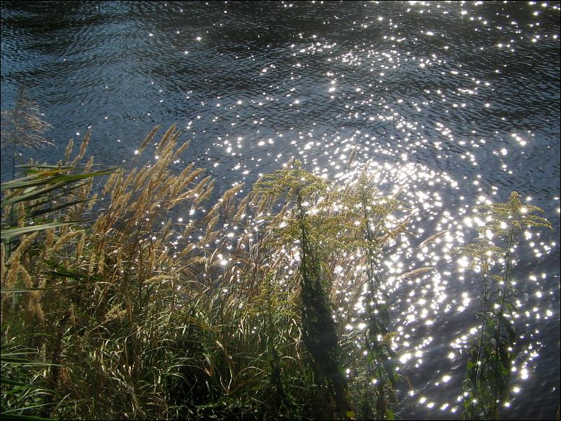 Sonnenspiegelung im Kanal