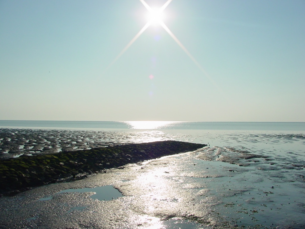 SONNENSPIEGELUNG IM WATT