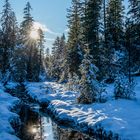 Sonnenspiegelung_im_Winterwald