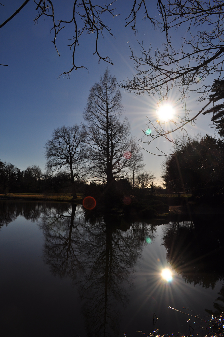 Sonnenspiel in Wörlitz