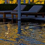 Sonnenspiele im Pool