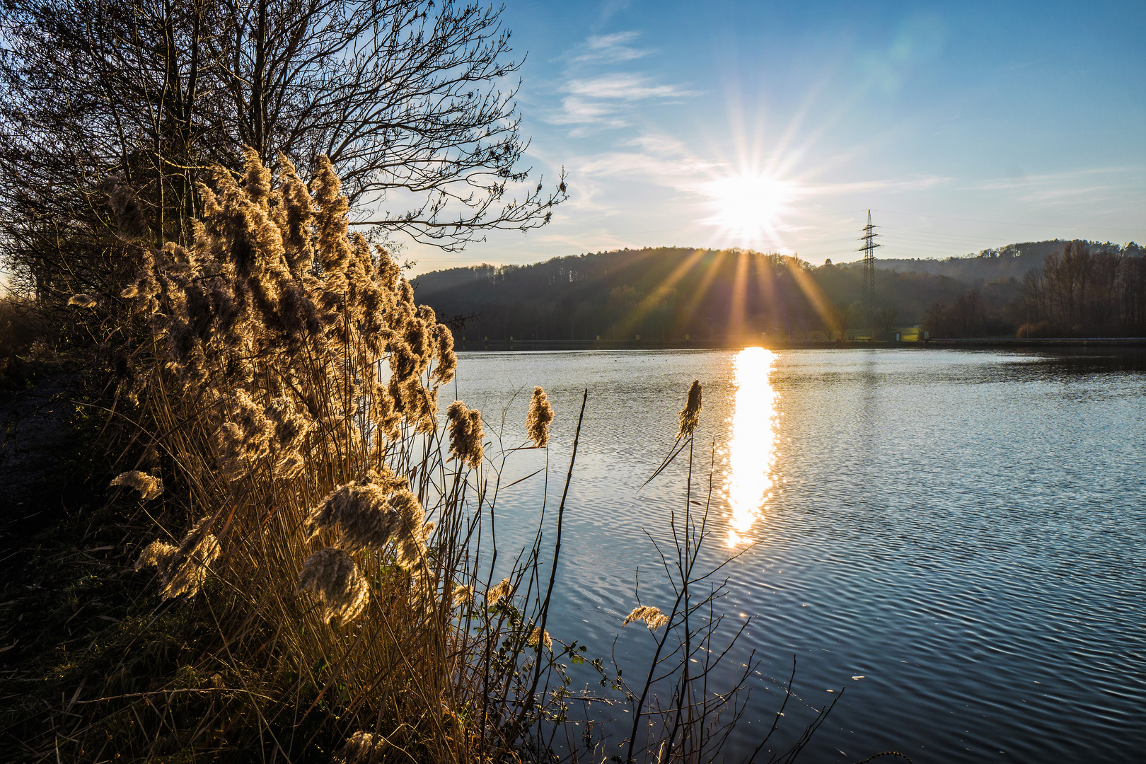 Sonnenstengel