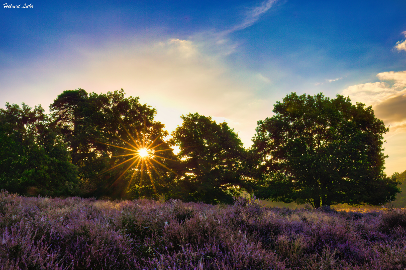 Sonnenstern . . .