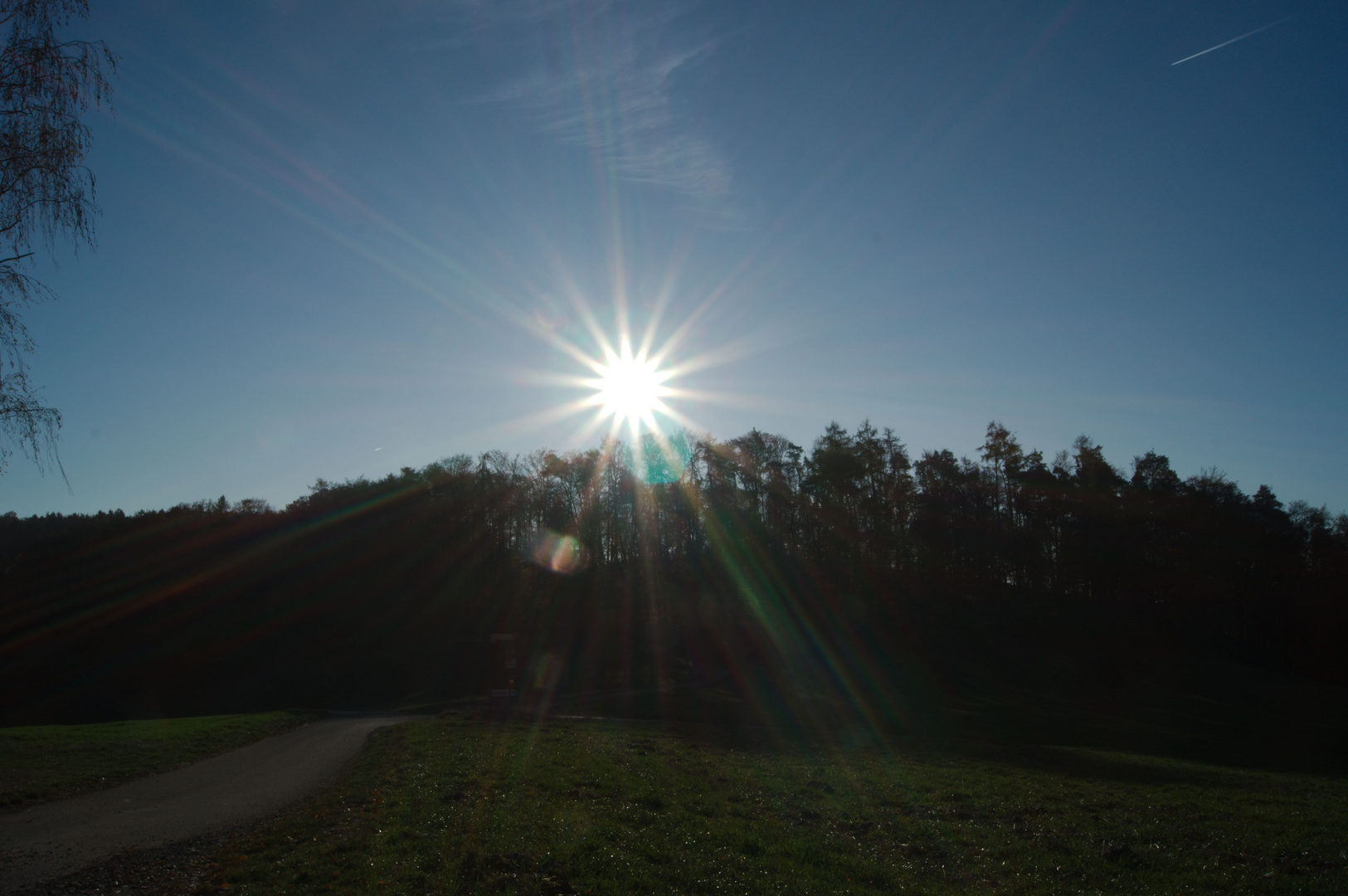 Sonnenstern am Berg