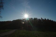 Sonnenstern am Berg