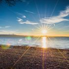 Sonnenstern am Bodensee