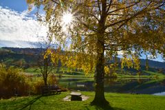 Sonnenstern am Hüttnersee