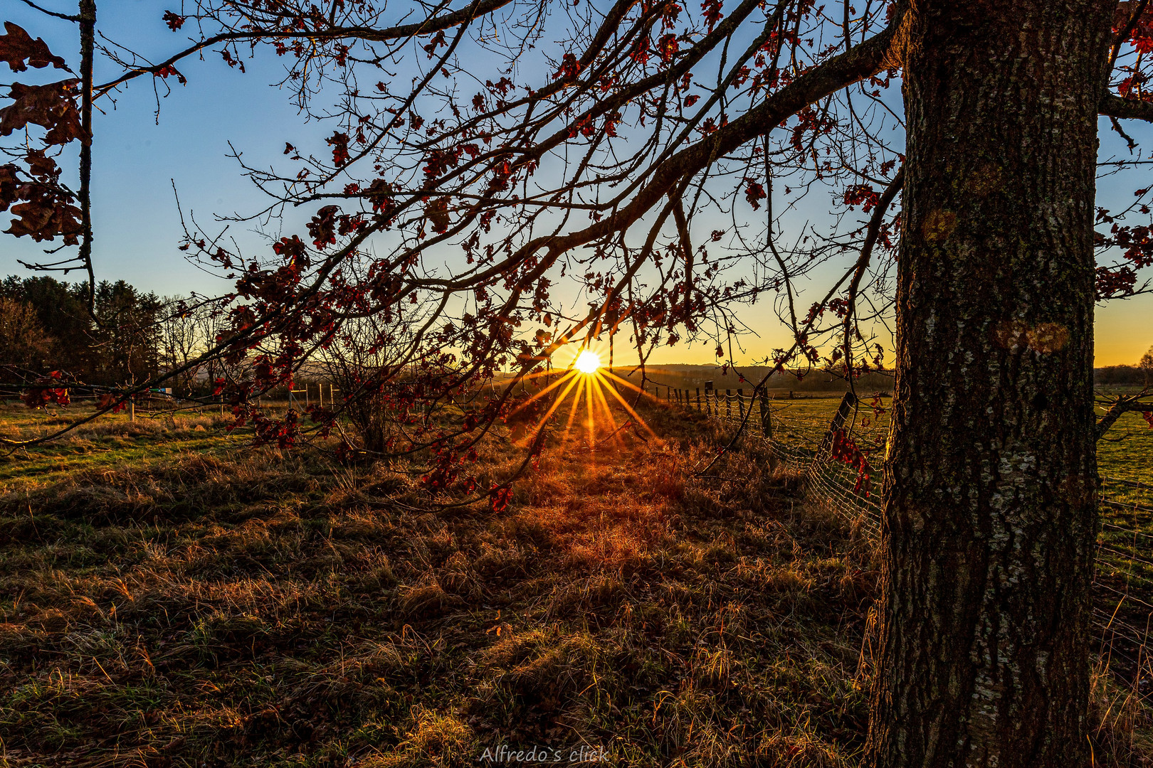 Sonnenstern 