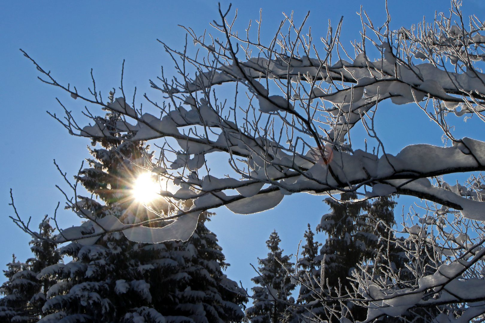 Sonnenstern im dick verschneiten Winterwald