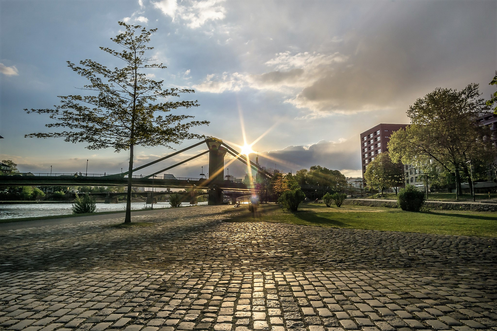 Sonnenstern in Frankfurt