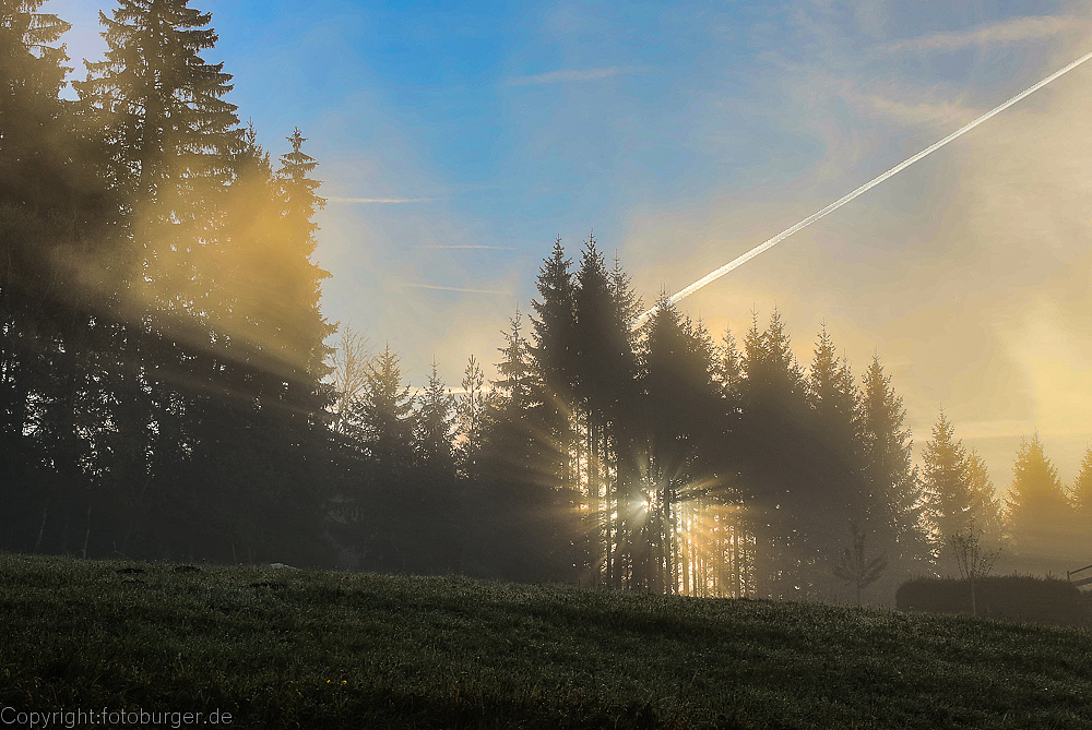 Sonnenstern in Hinterzarten