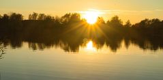 Sonnenstern Kiesgrube Kleinpösna