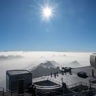 Sonnenstern mit Staubflecken