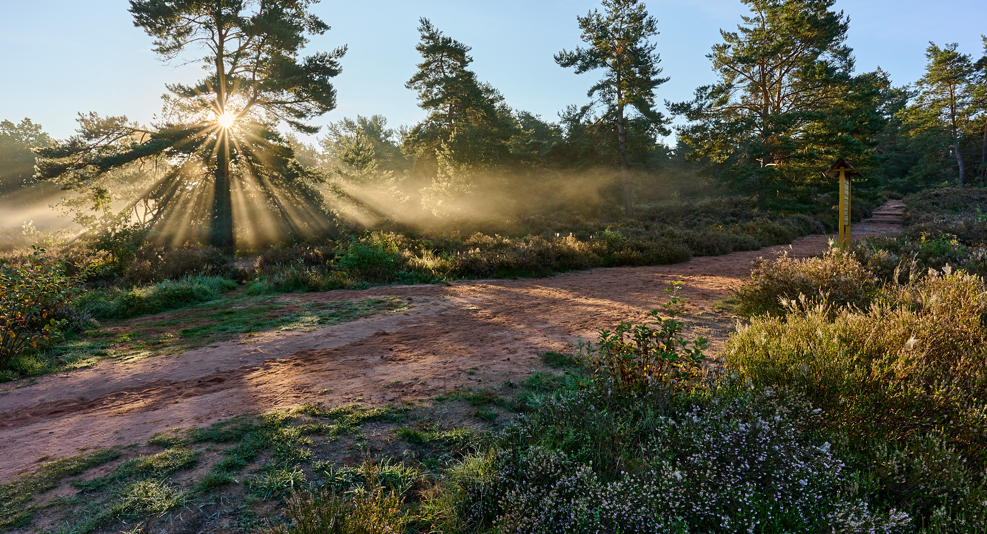 Sonnenstern-Nebellichtstimmung-Wanderweg... :-)