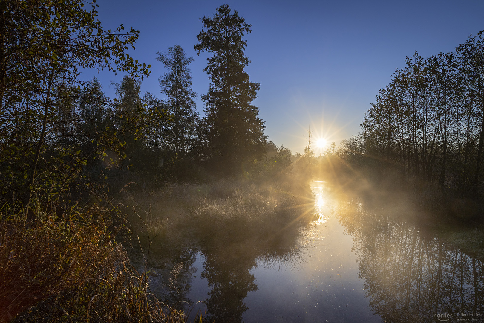 Sonnenstern Reflektion