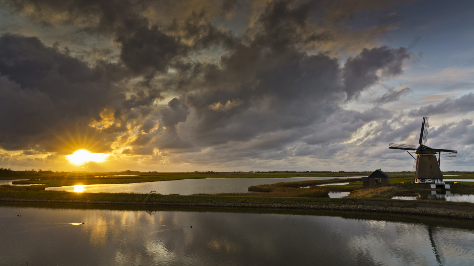 Sonnenstern, Texel, 13.11.2019