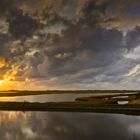 Sonnenstern, Texel, 13.11.2019