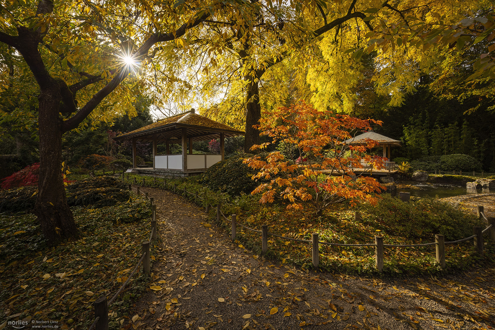 Sonnenstern über dem Pavillon