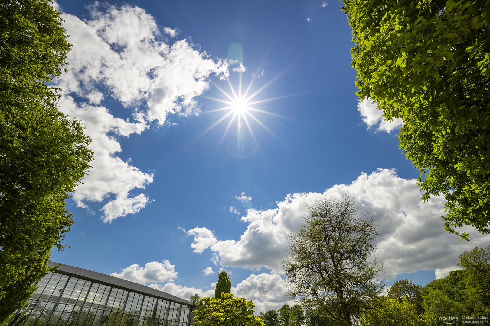 Sonnenstern über dem Pflanzenschauhaus