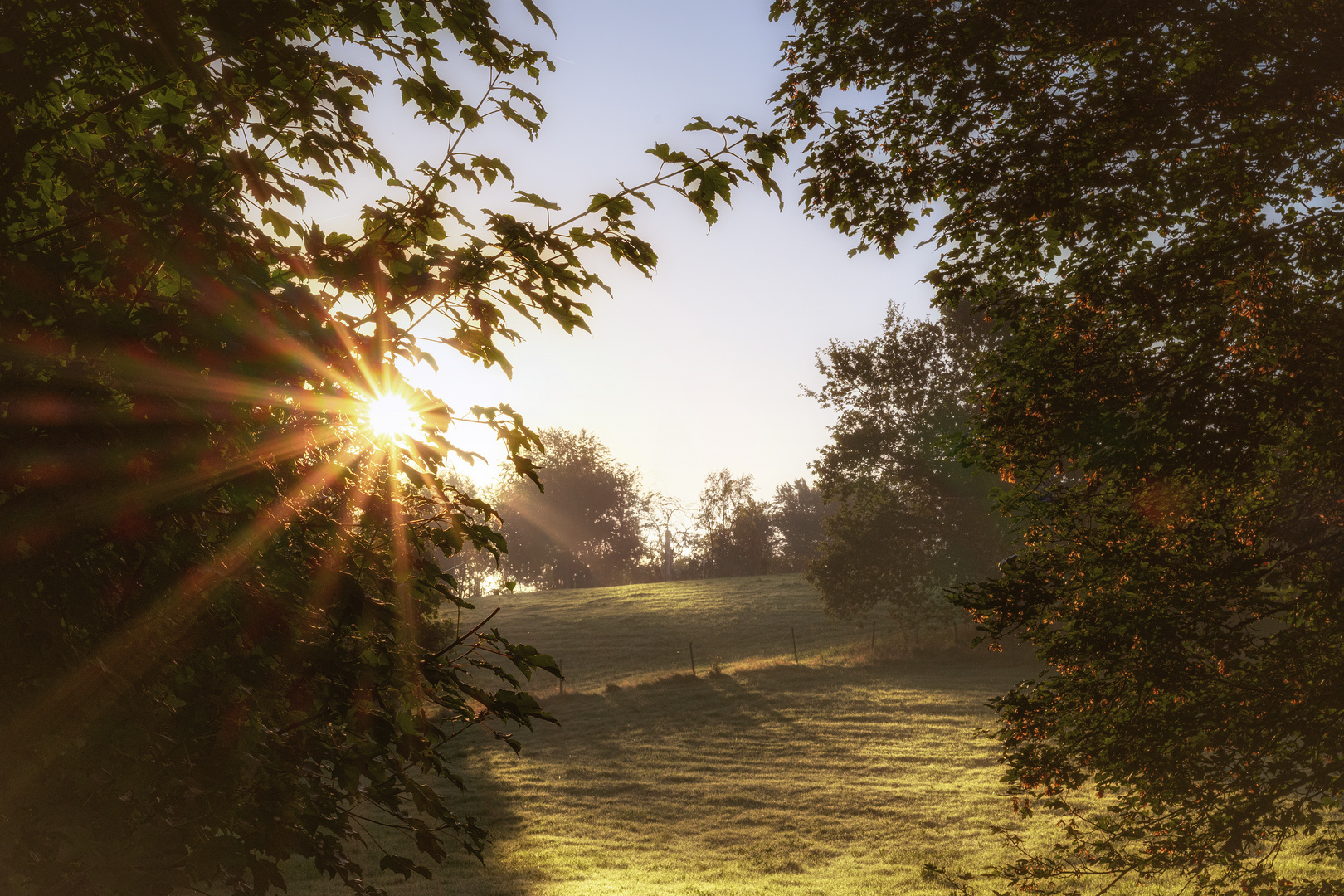 Sonnenstern und Durchblick