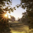 Sonnenstern und Durchblick