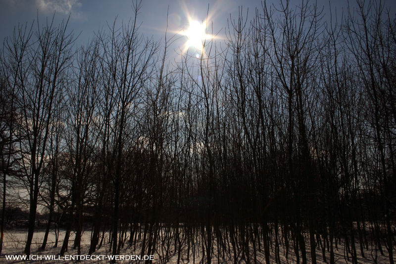 Sonnenstern und Winterstimmung