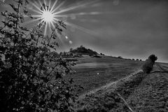 Sonnensternchen