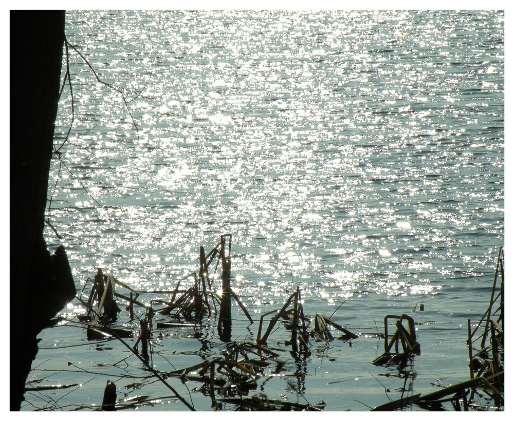 "Sonnensternchen". Lichtreflexe auf dem See.