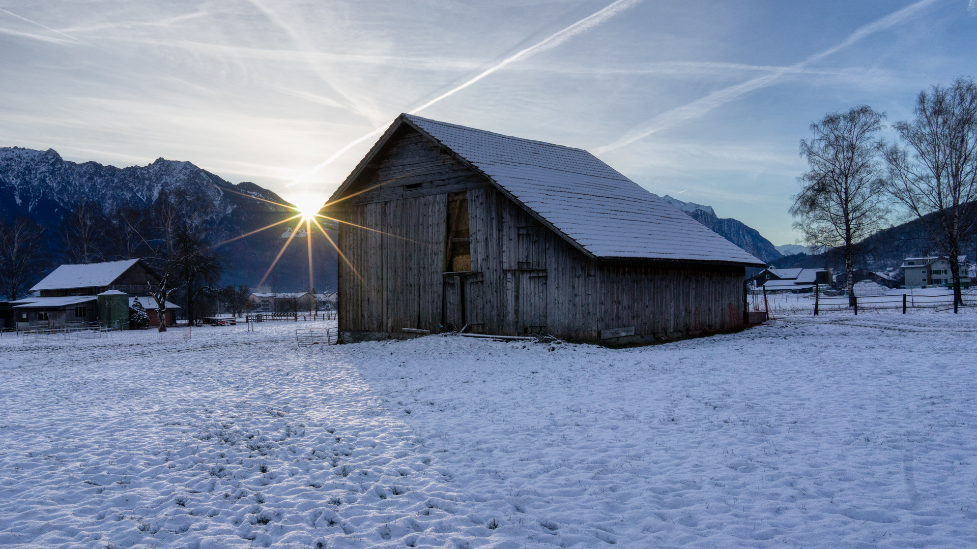 Sonnensterne im Grabser Riet