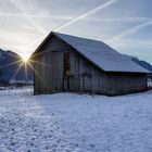 Sonnensterne im Grabser Riet