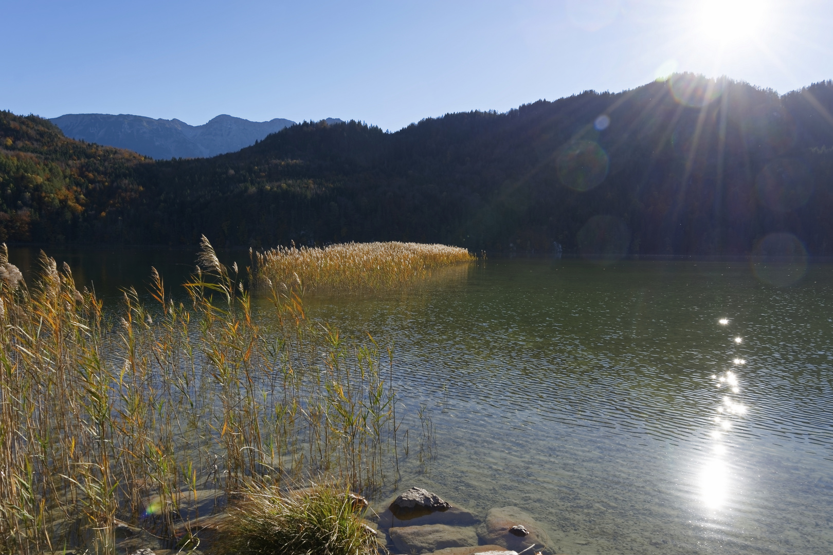 Sonnensterne im Wasserspiegel