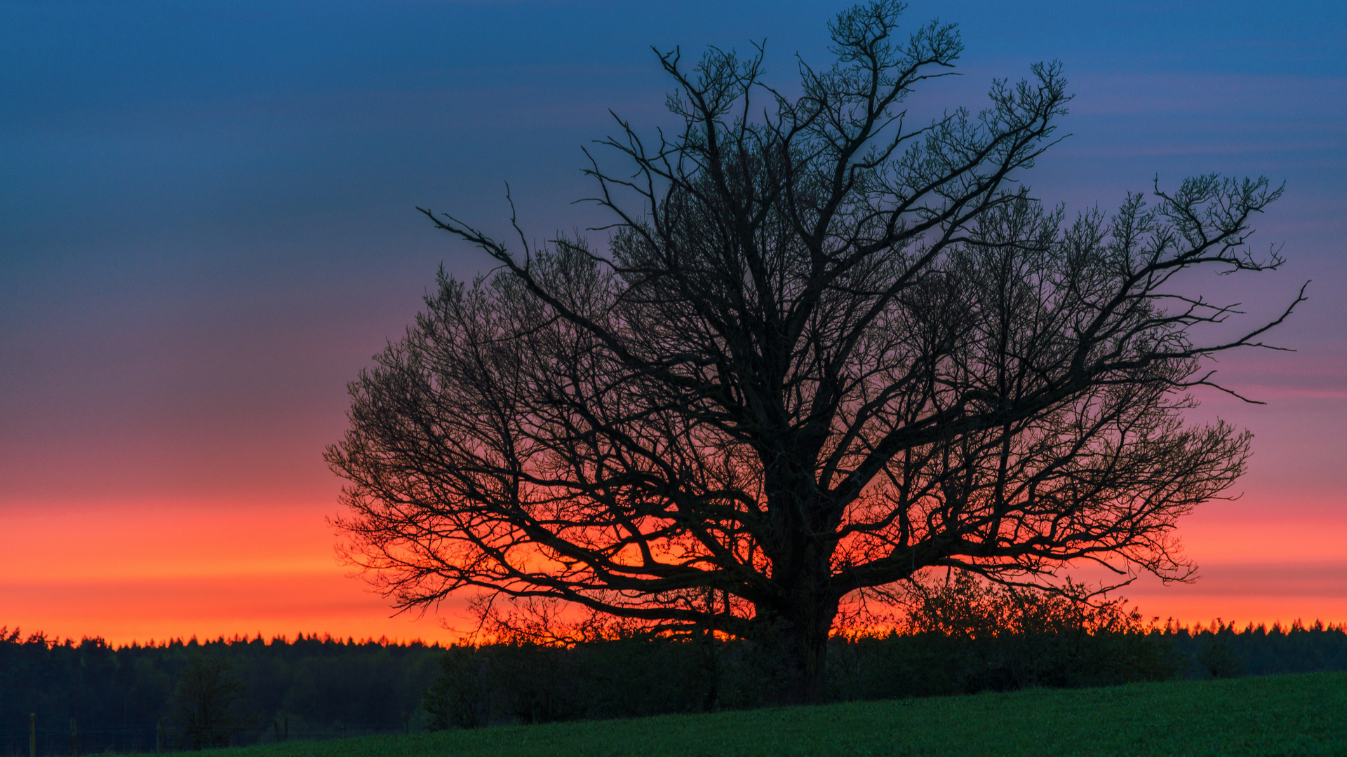 Sonnenstimmung