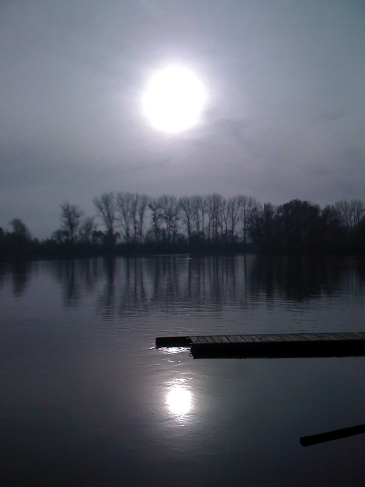 Sonnenstimmung an der Donau bei Deggendorf / Niederbayern im November 2008