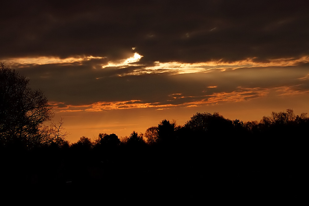 Sonnenstimmung bei Königsmoor