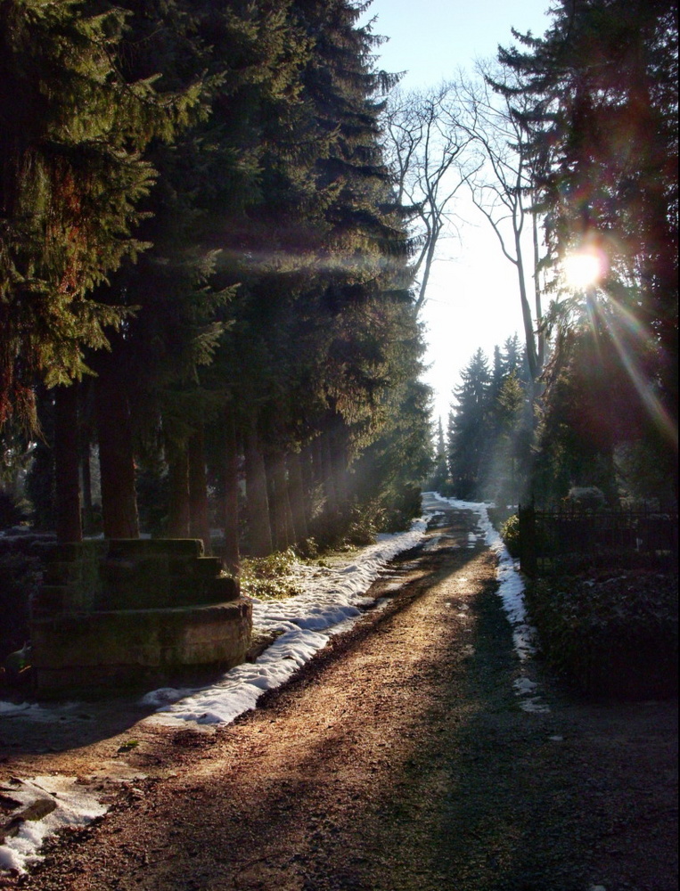 Sonnenstrahl auf Friedhofsweg