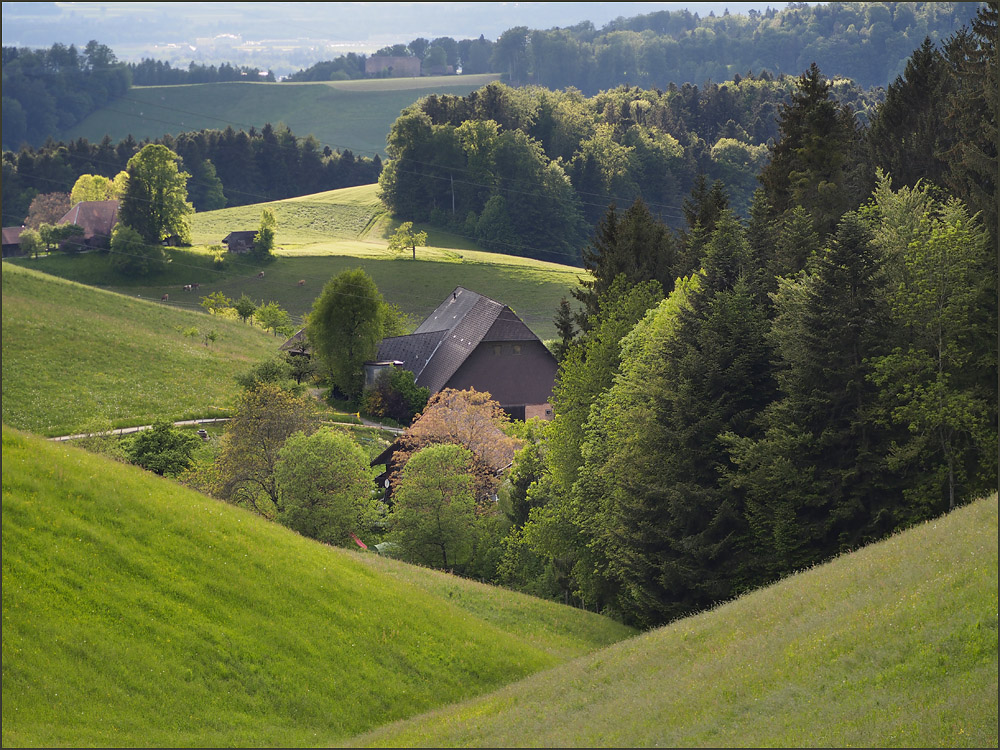 Sonnenstrahl im Emmental