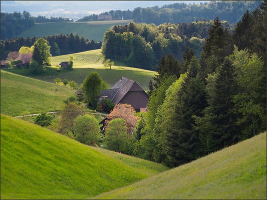 Sonnenstrahl im Emmental