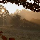 Sonnenstrahl im Herbstnebel