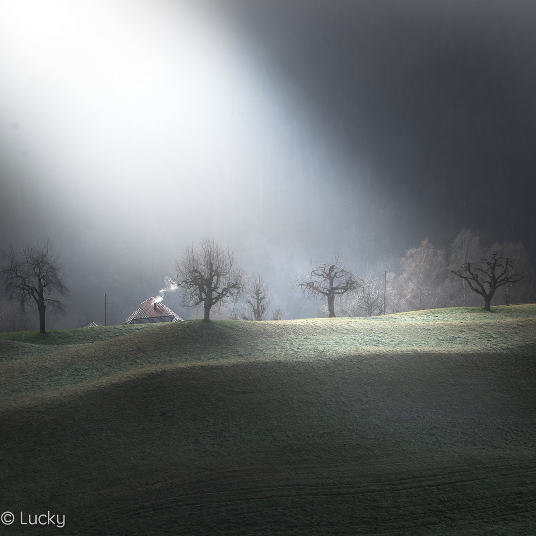 Sonnenstrahl im Nebel