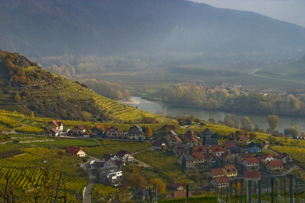 Sonnenstrahl in der Wachau