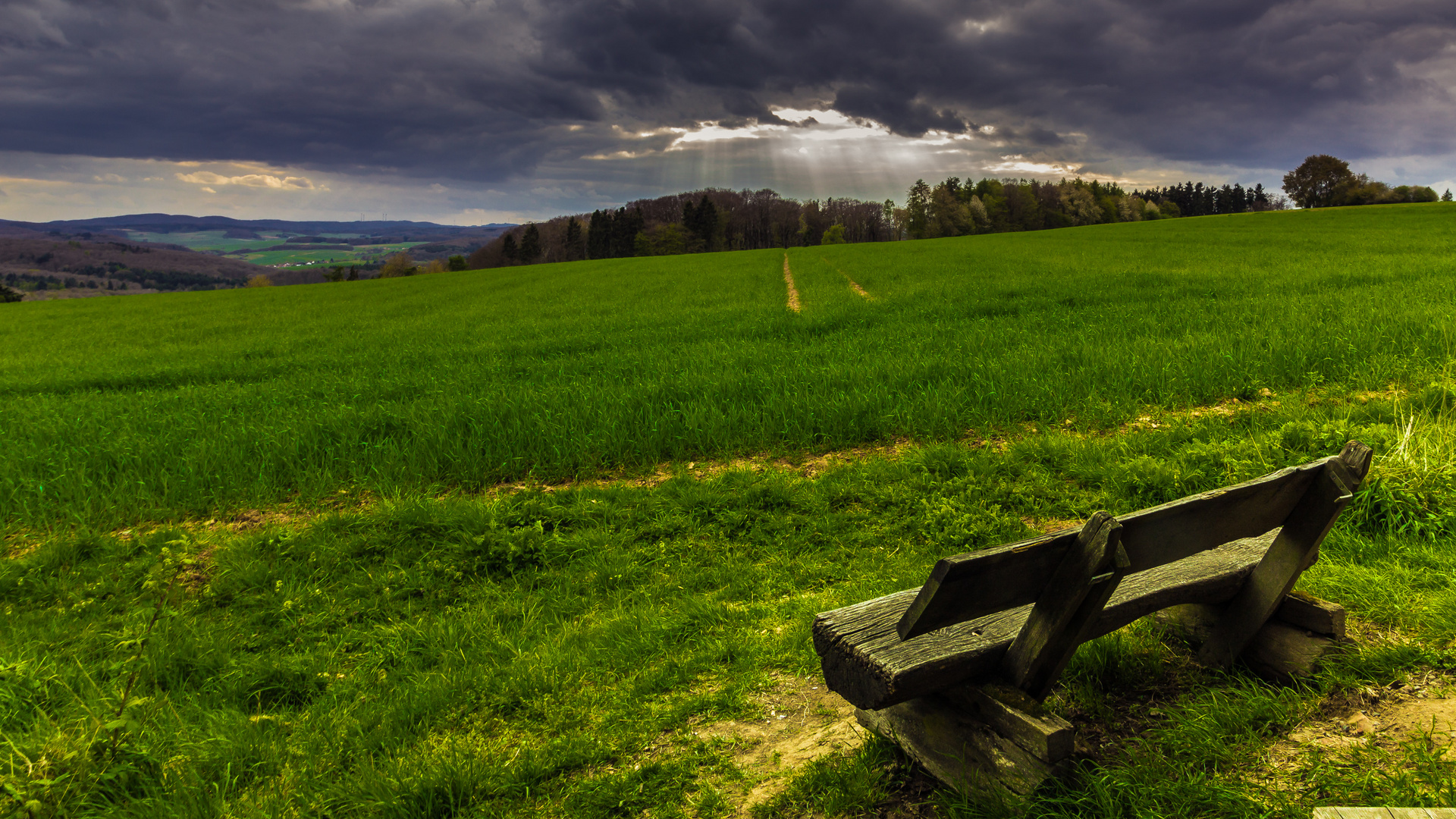 Sonnenstrahlblick