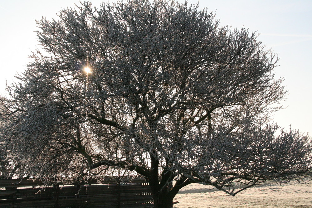 Sonnenstrahlen